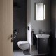 Capac vas wc, cu fixare de sus, balamale inox, Geberit Selnova Compact 501.575.01.1